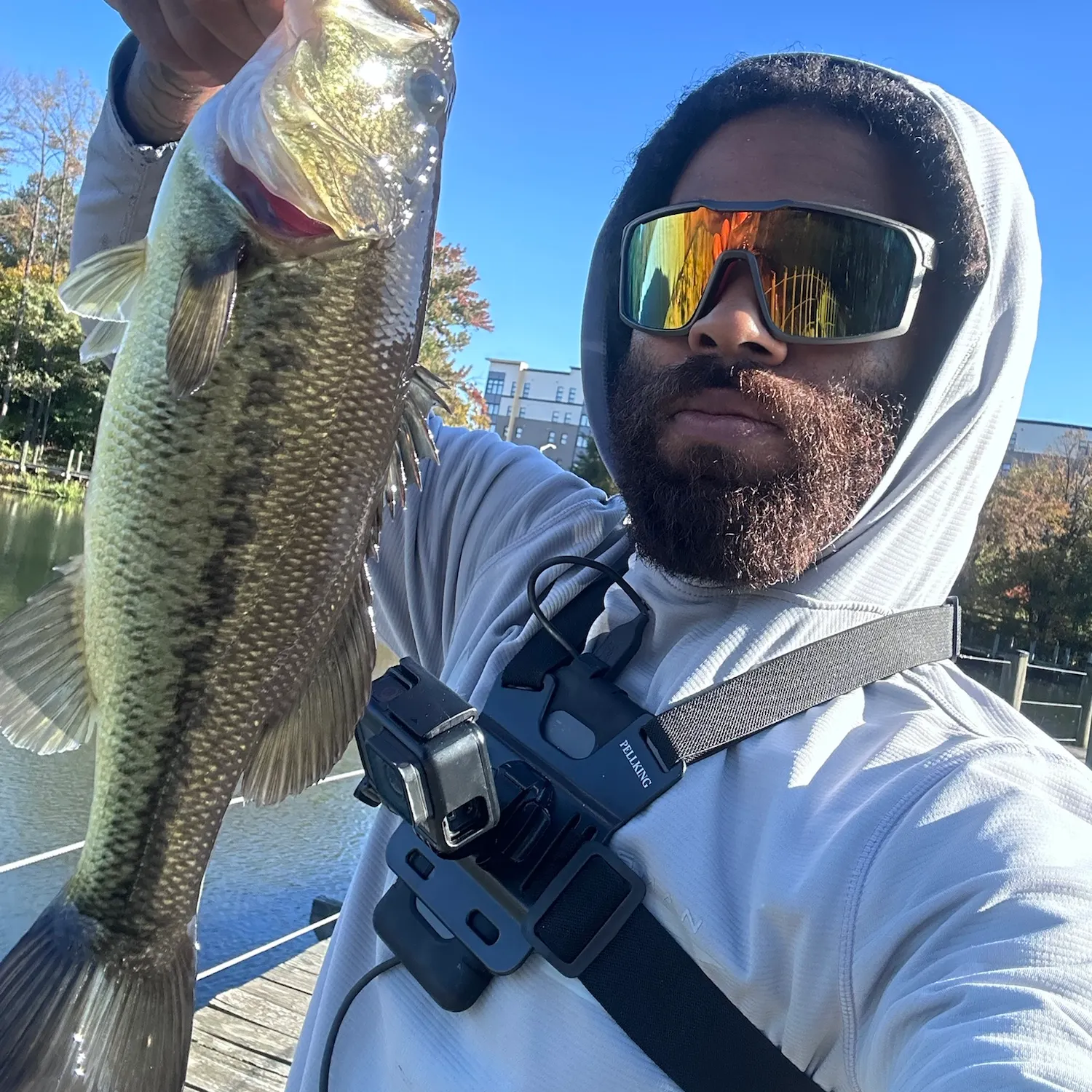Largemouth bass caught on Fishbrain
