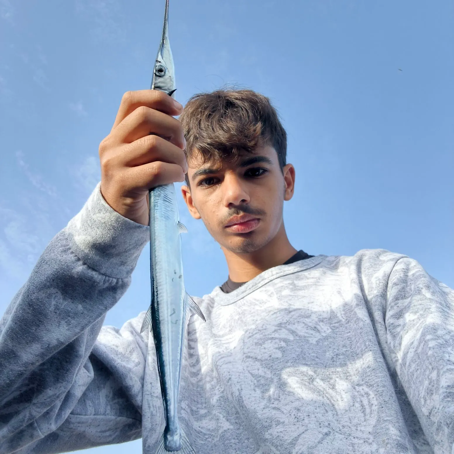 The most recent Agujon needlefish catches on Fishbrain