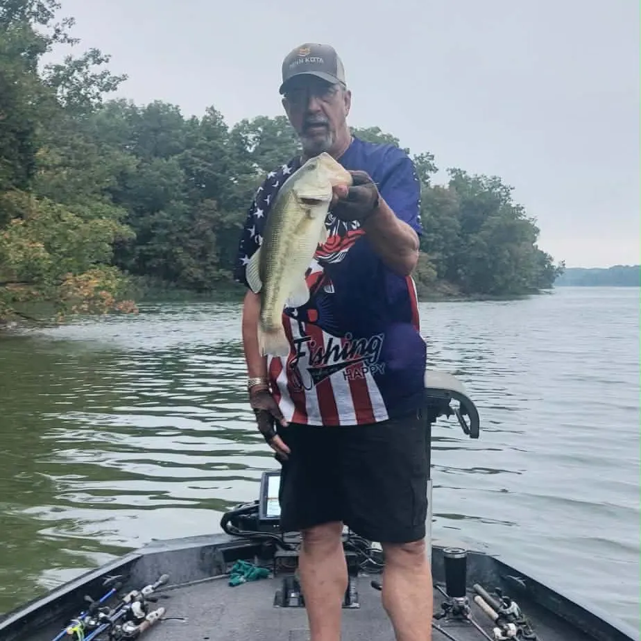 Largemouth bass caught on Fishbrain
