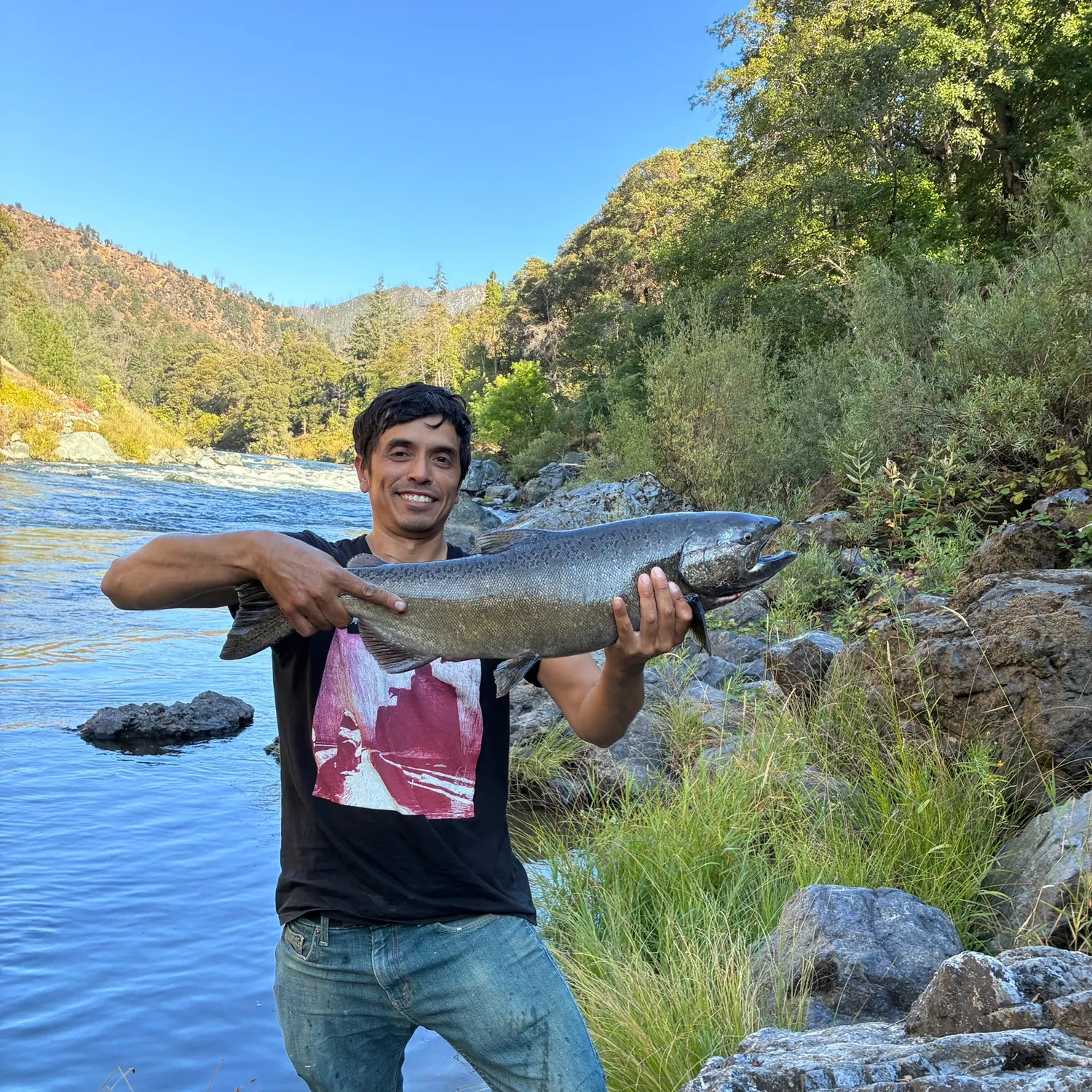 Chinook salmon caught on Fishbrain