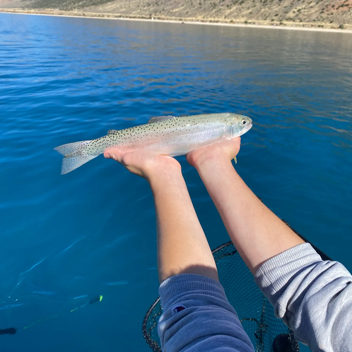 Bear Lake cutthroat trout caught on Fishbrain