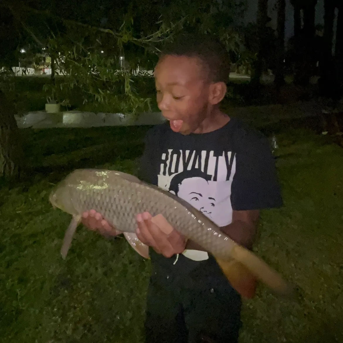 Common carp caught on Fishbrain