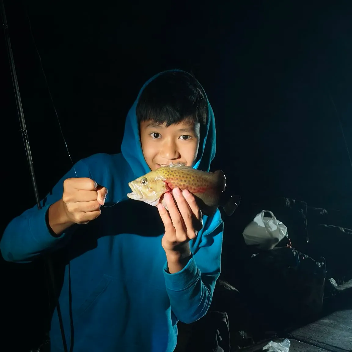 The most recent Eastern wirrah catches on Fishbrain