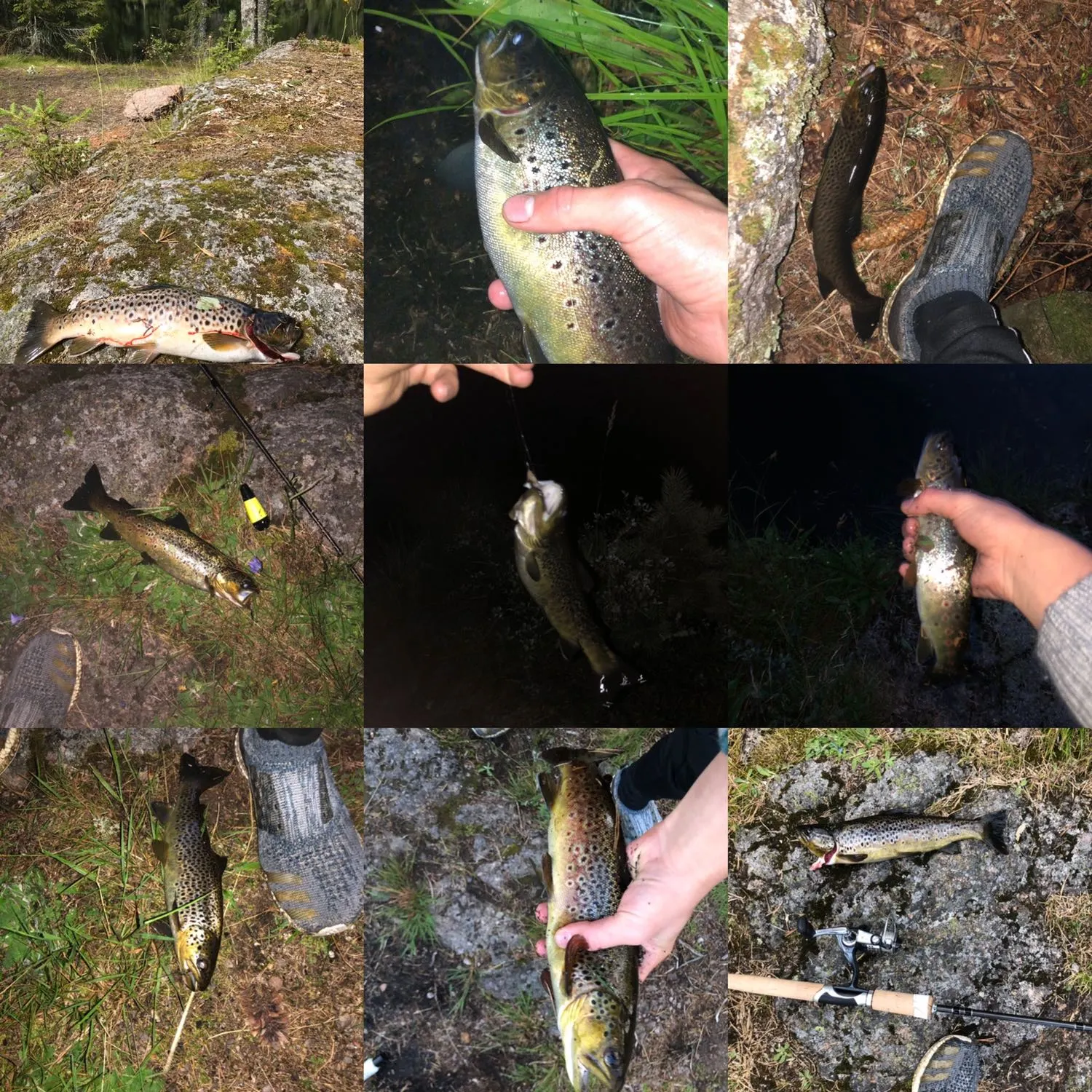 recently logged catches