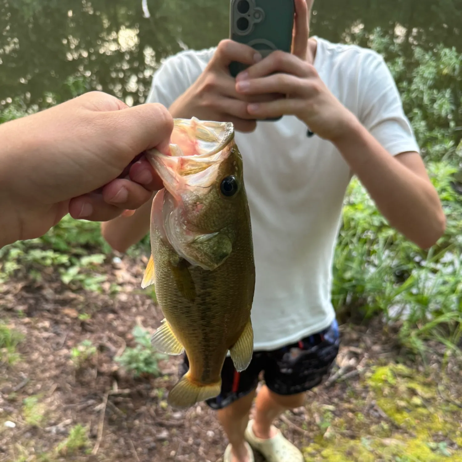catch