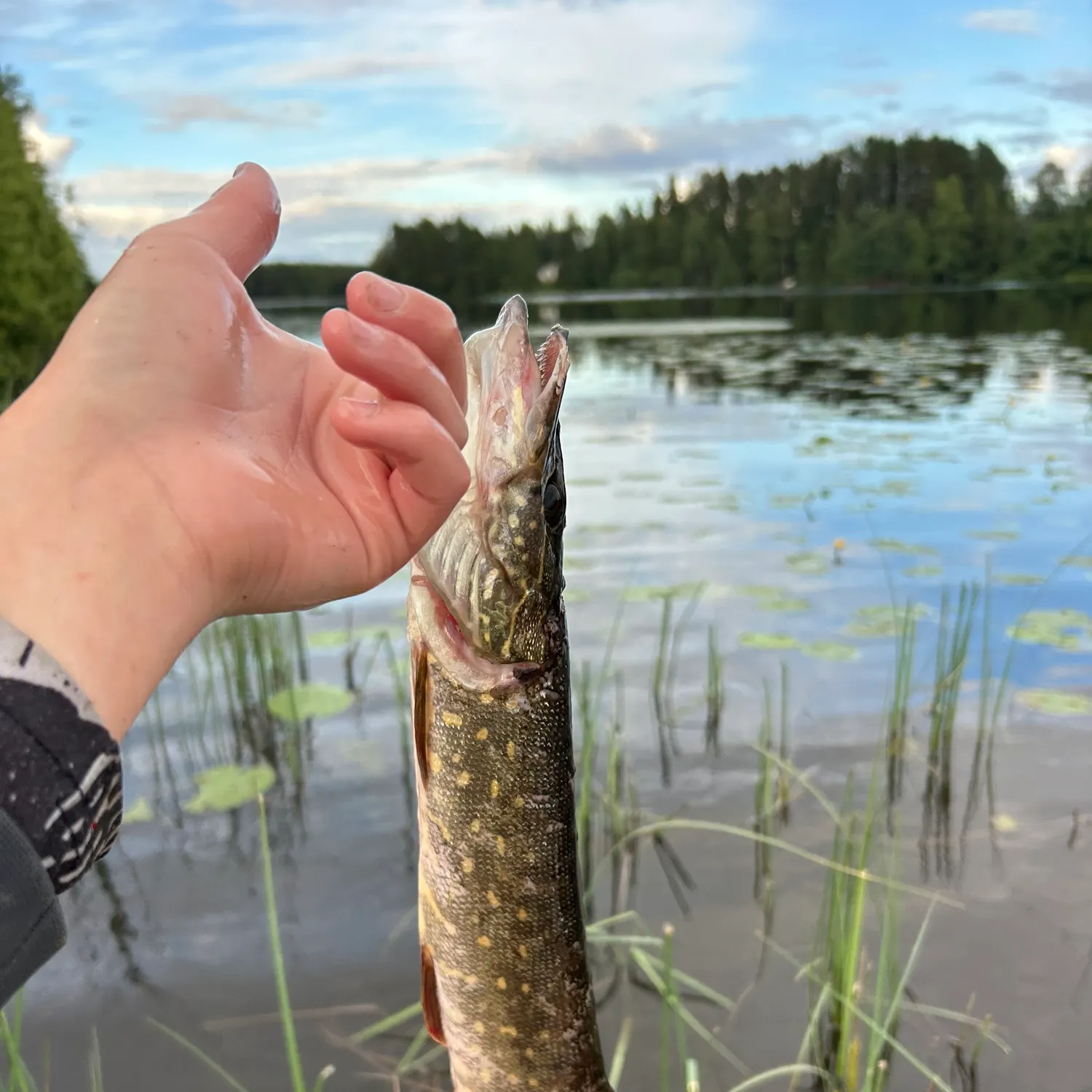 catch