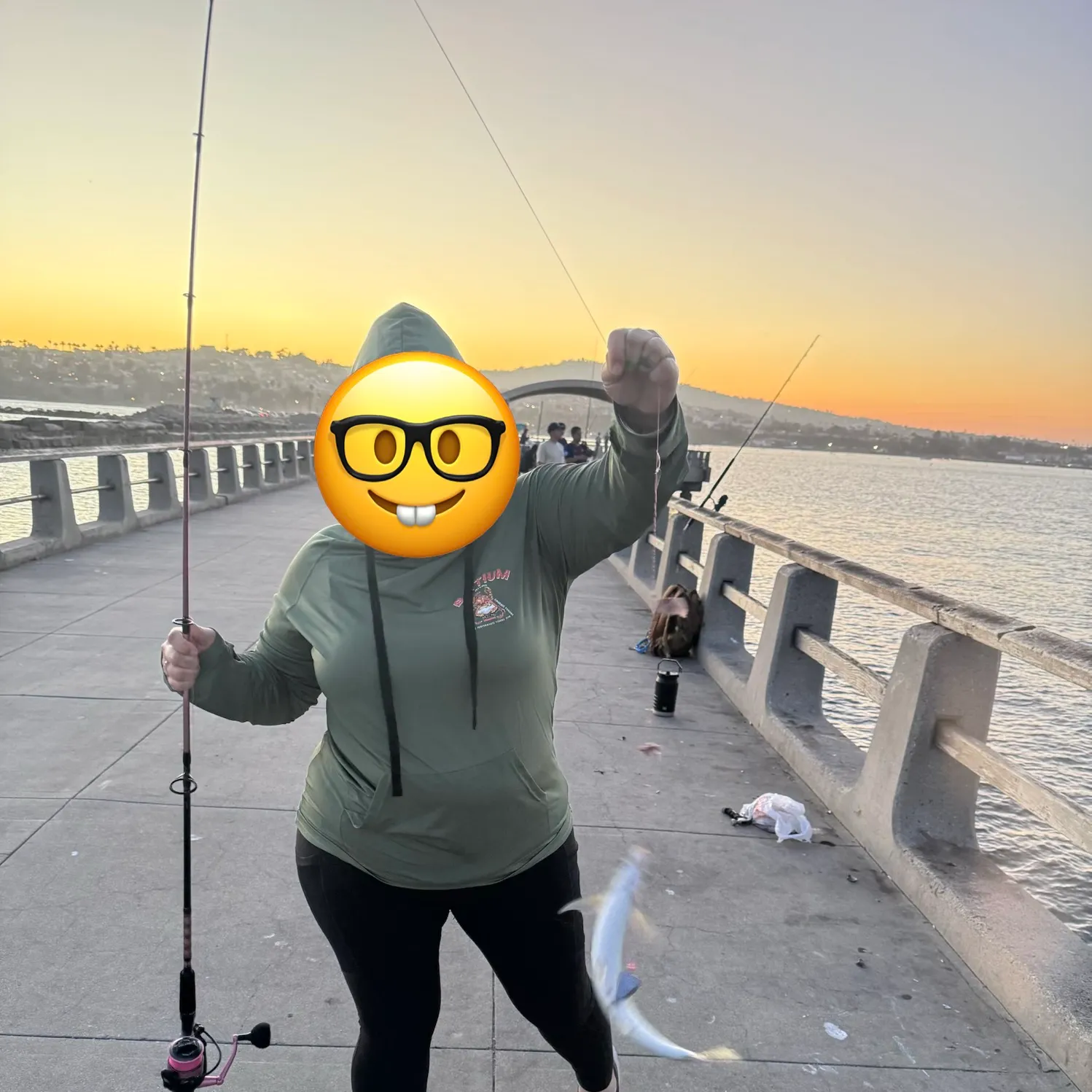 The most recent Macroramphosus sagifue catches on Fishbrain