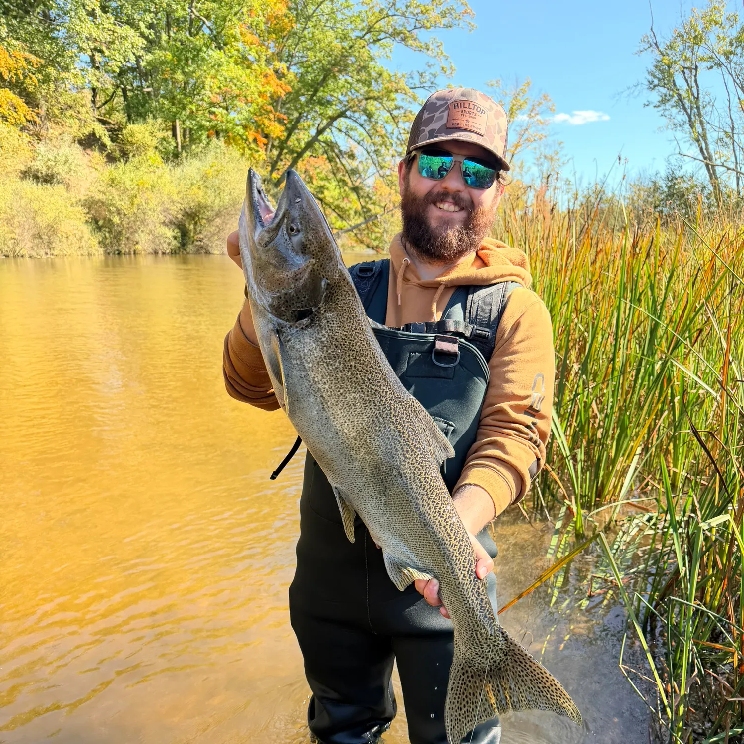The most recent Chinook salmon catches on Fishbrain