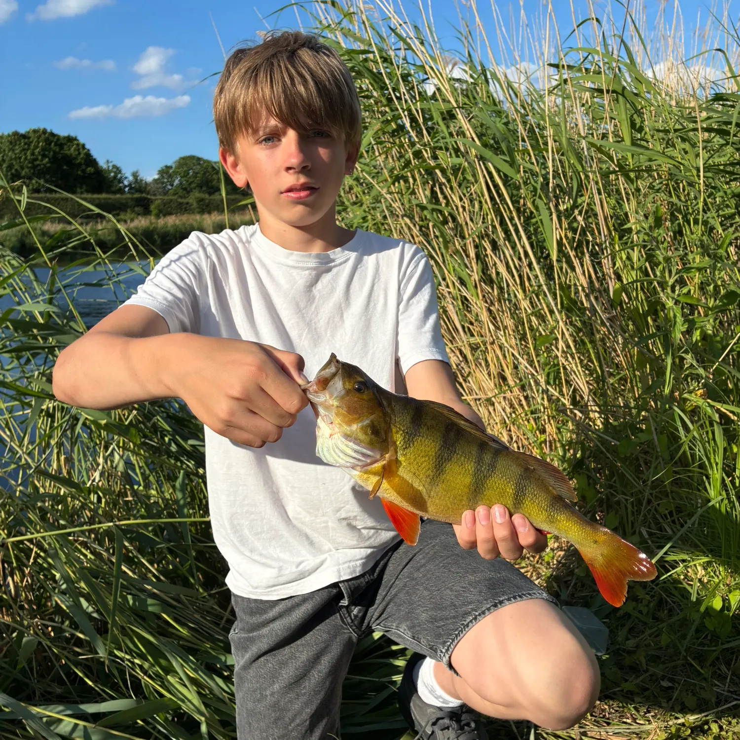 catch