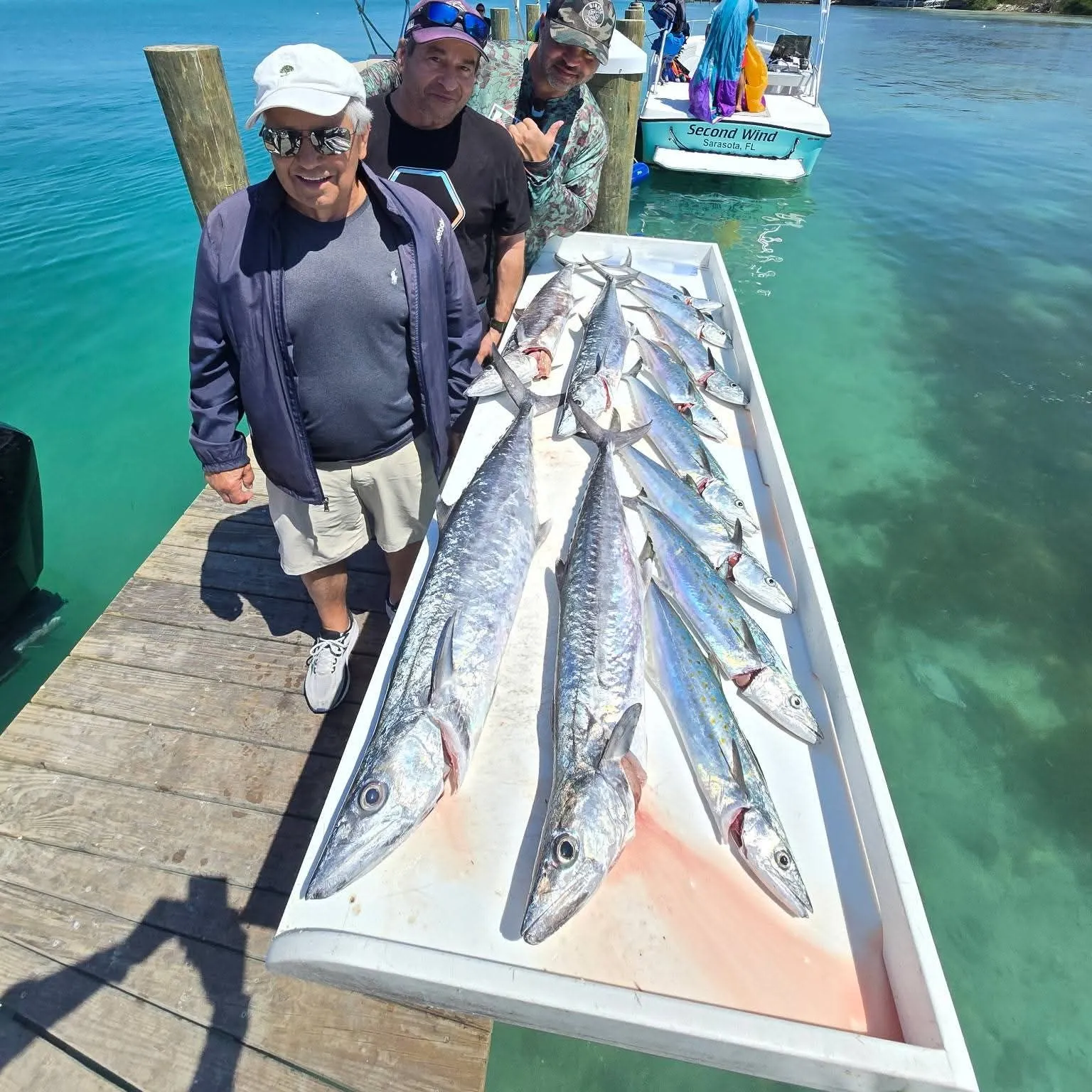 The most recent King mackerel catches on Fishbrain