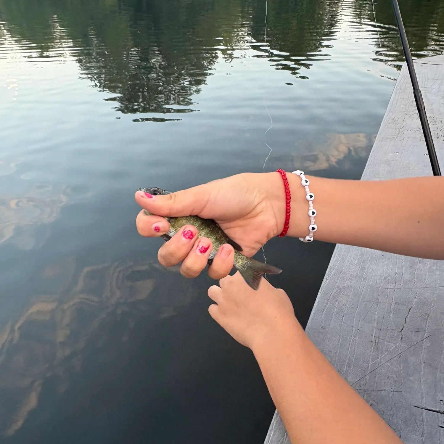 Bluegill caught on Fishbrain