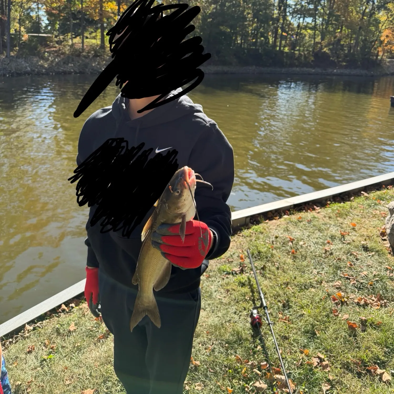 Channel catfish caught on Fishbrain