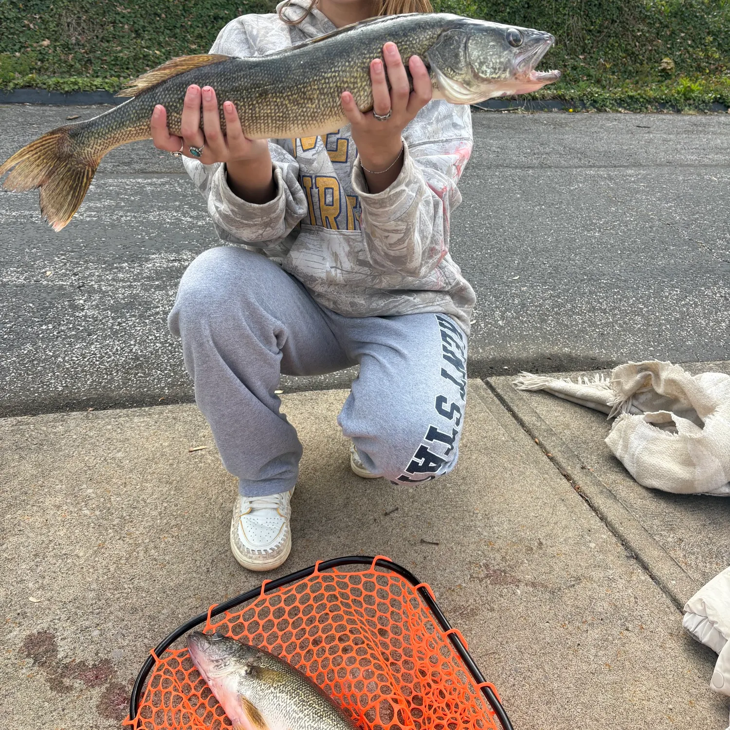 The most recent Walleye catches on Fishbrain