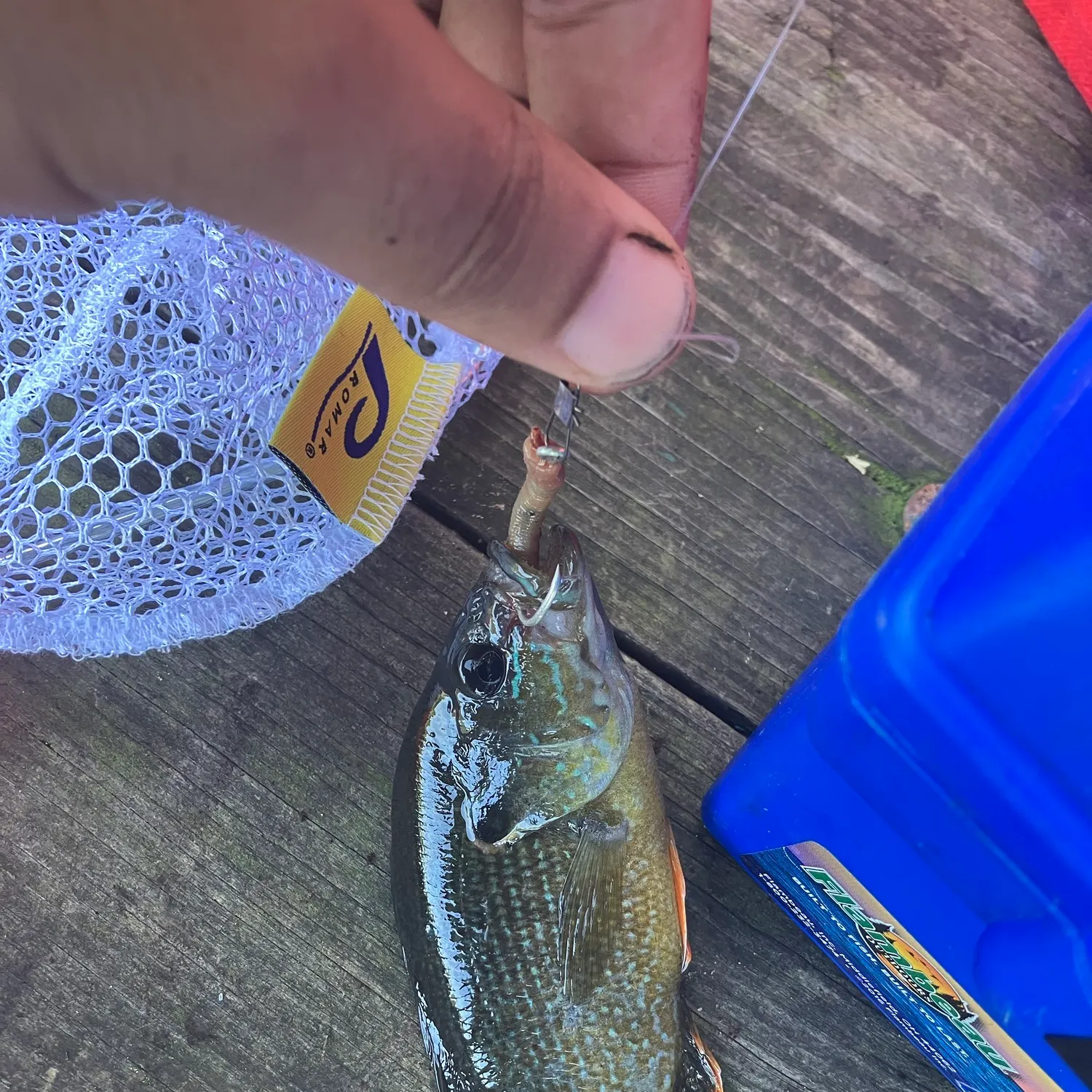 catch