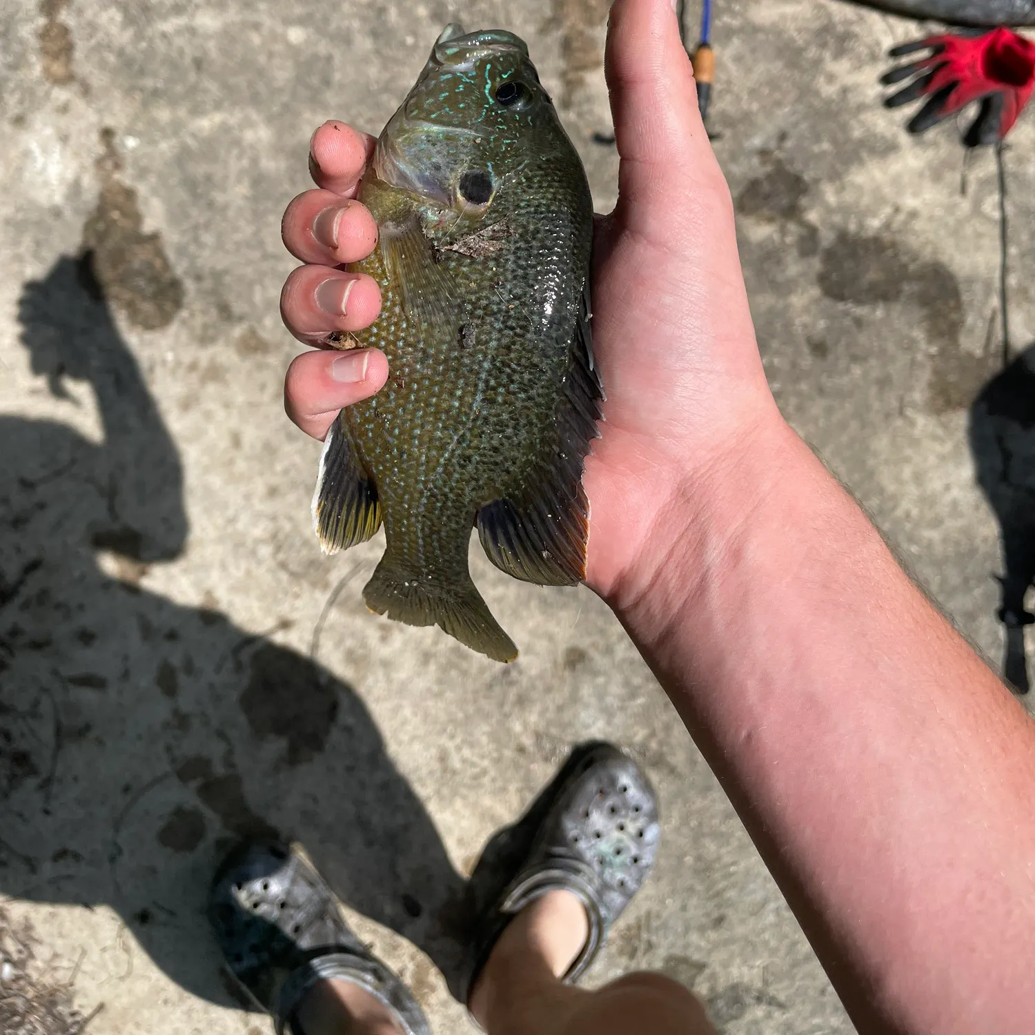 catch