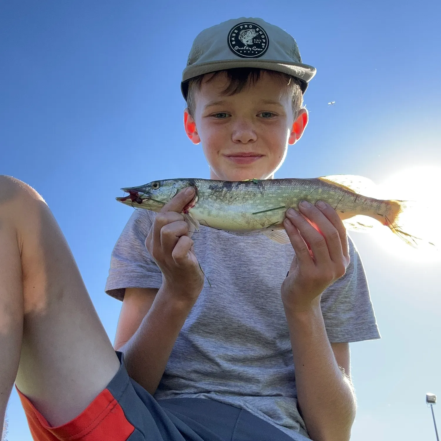 Northern pike caught on Fishbrain