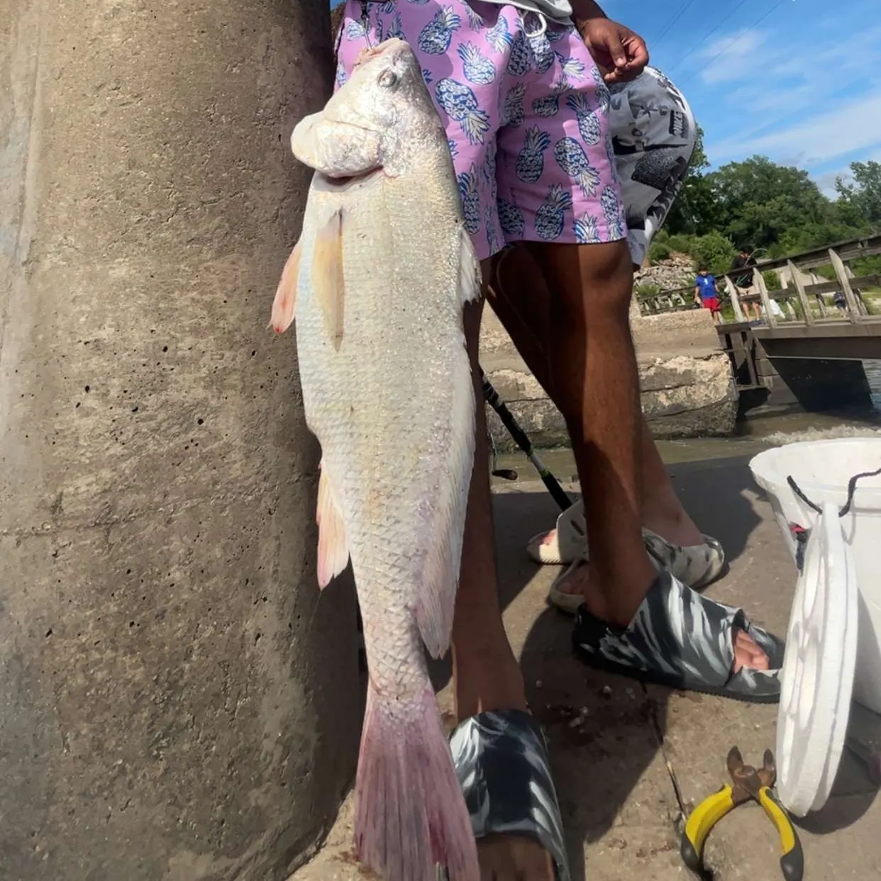 catch