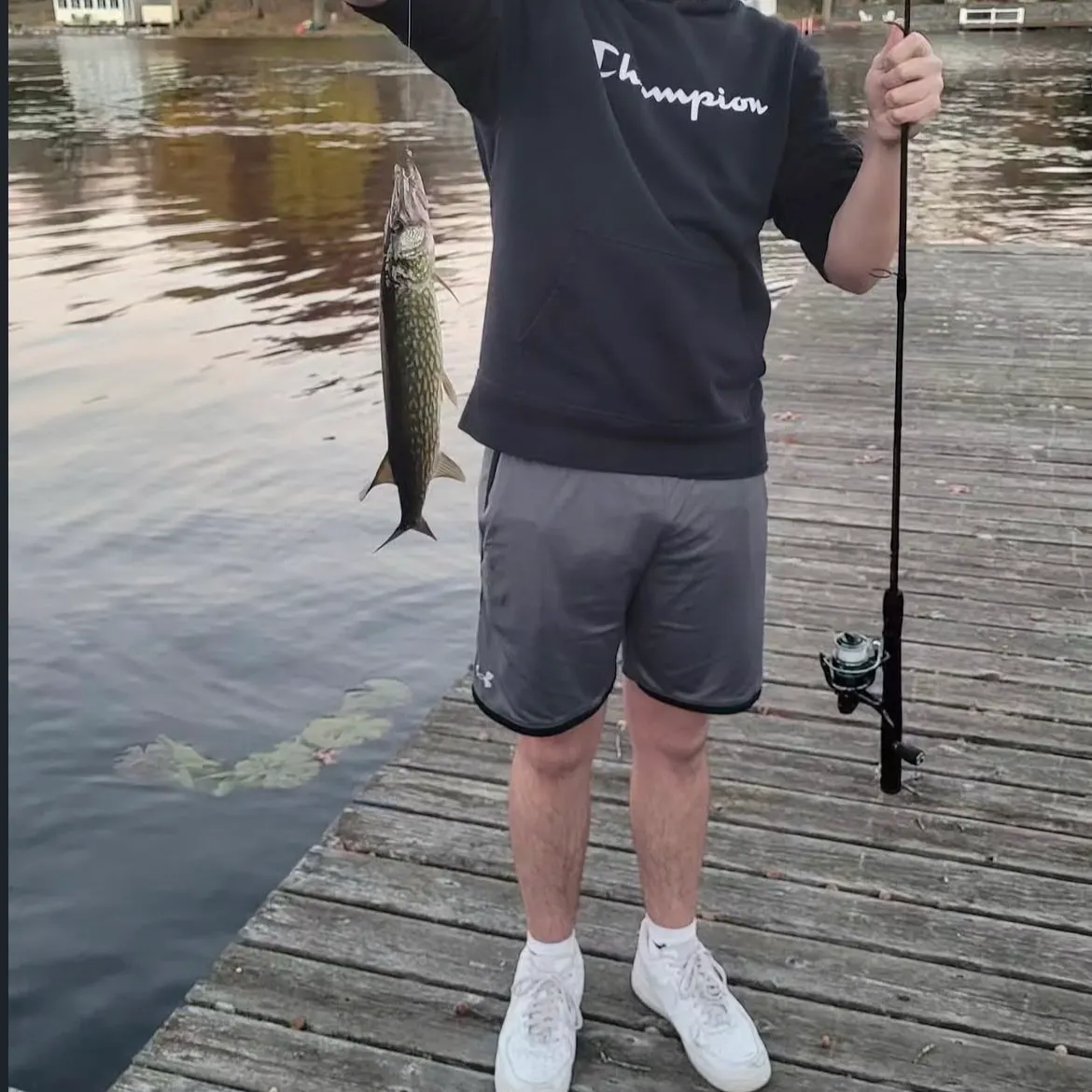 Northern pike caught on Fishbrain
