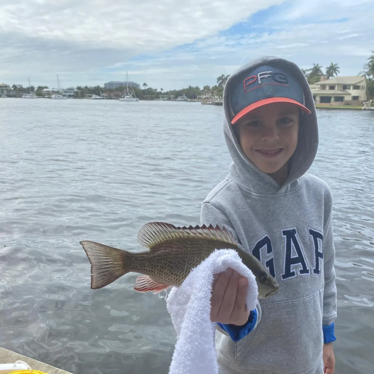 Mangrove snapper caught on Fishbrain