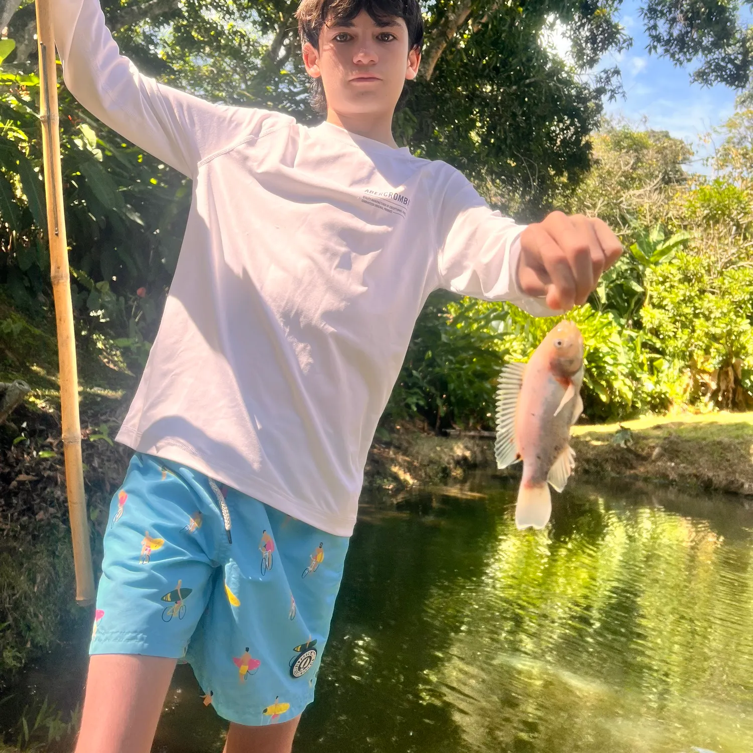 The most recent Red tilapia catches on Fishbrain