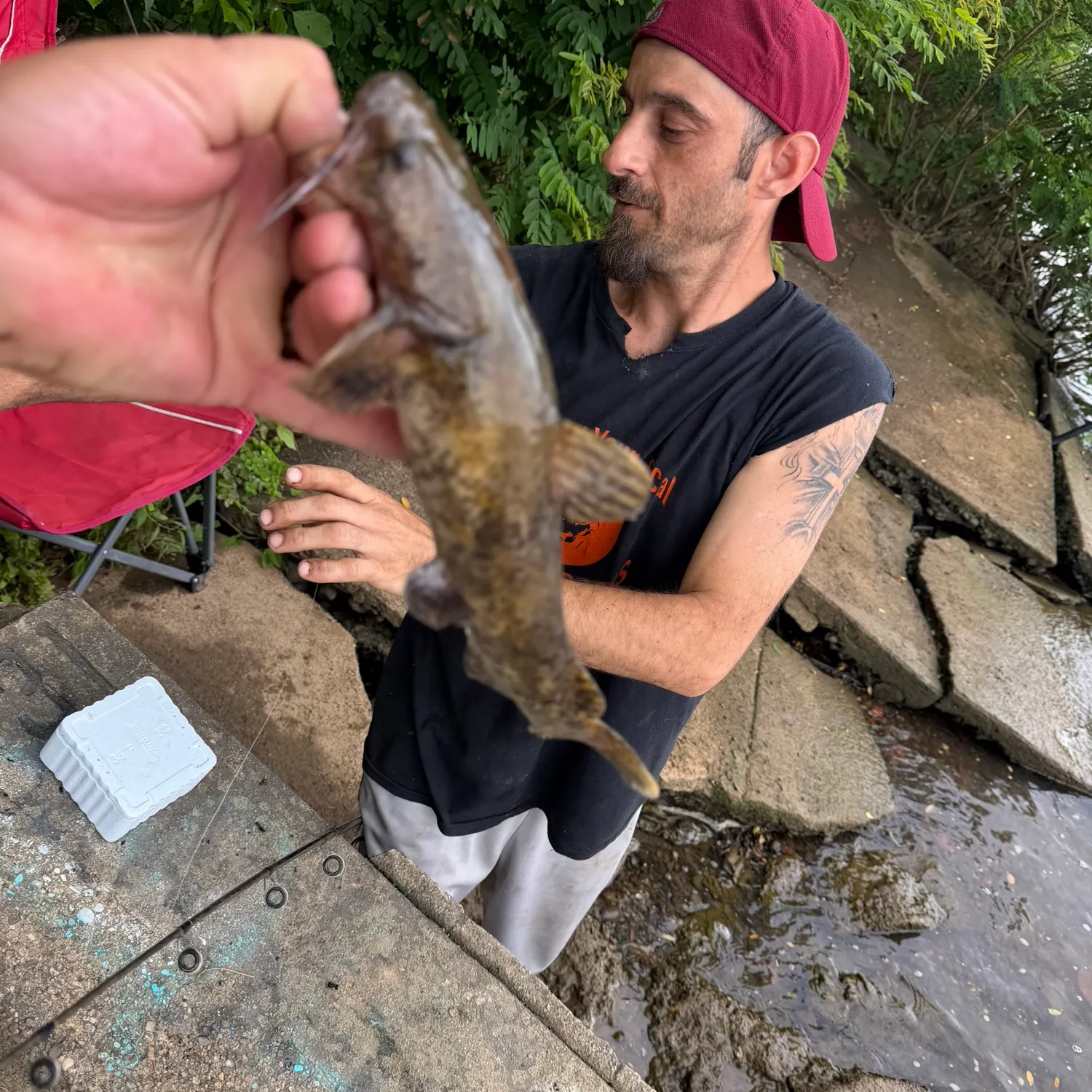 The most recent Flathead catfish catches on Fishbrain