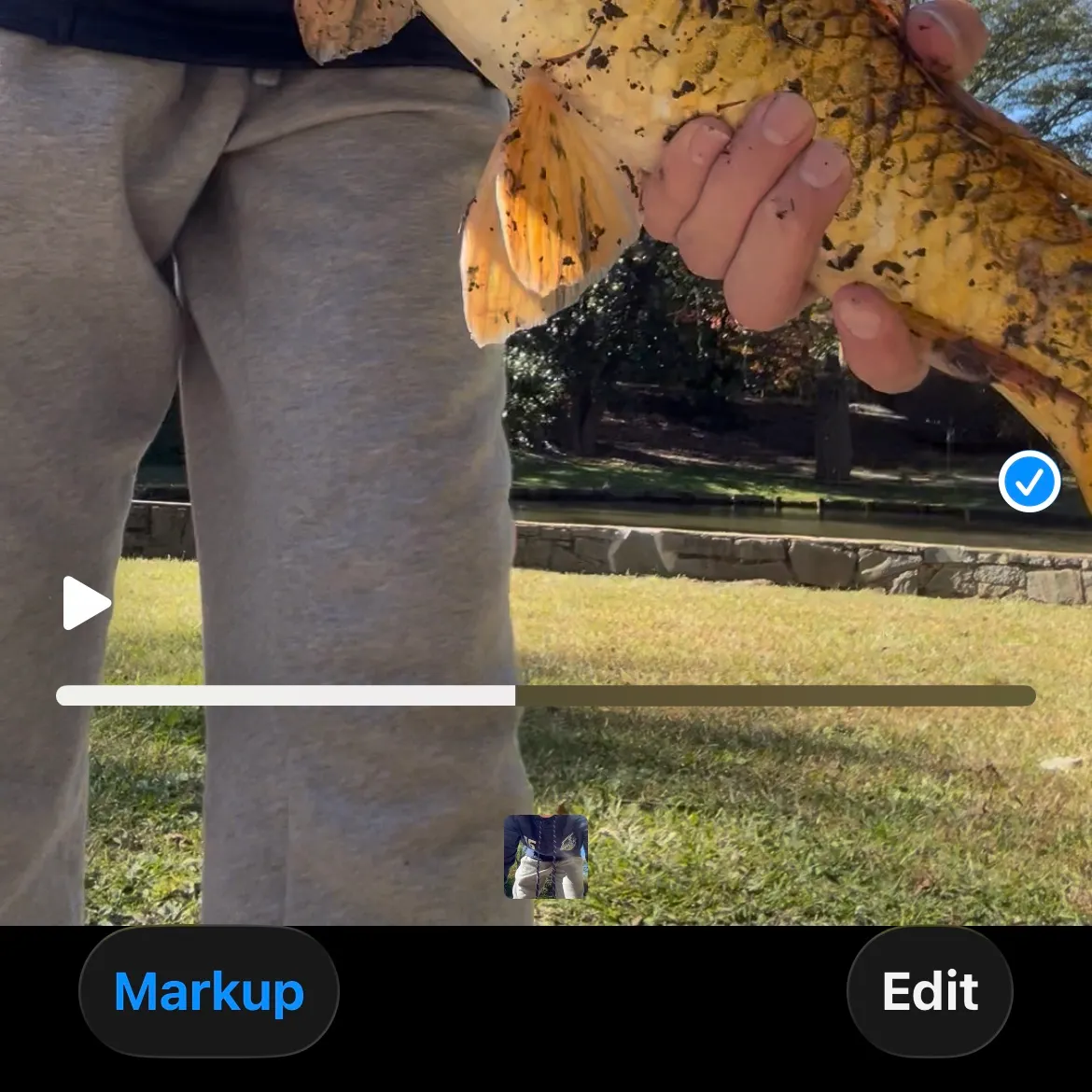 recently logged catches