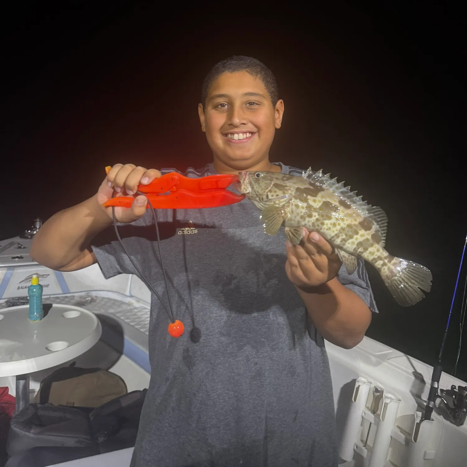 The most recent Greasy grouper catches on Fishbrain