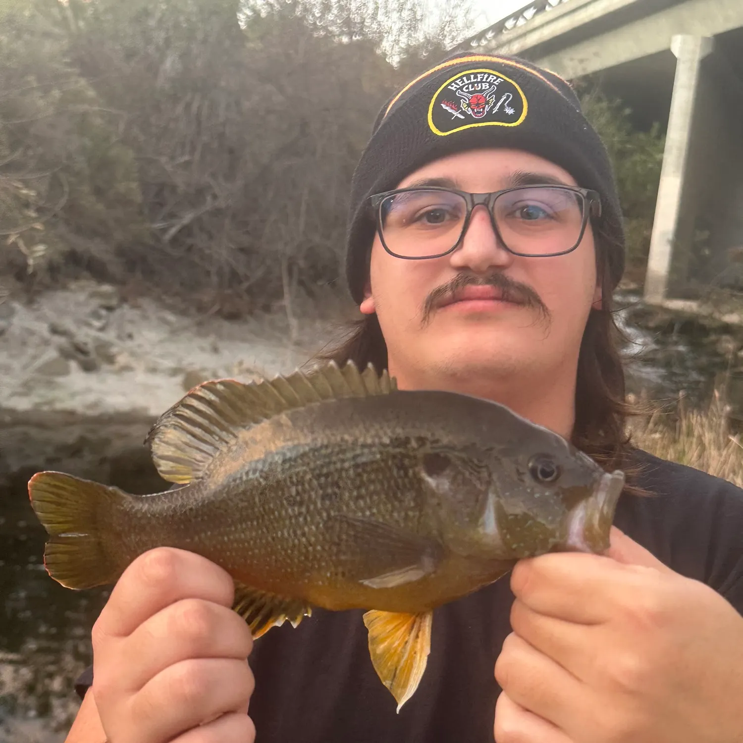 The most recent Green sunfish catches on Fishbrain