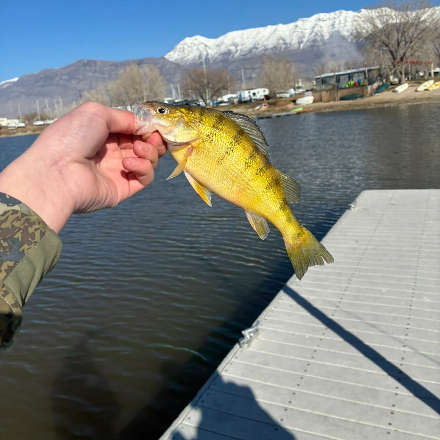 catch
