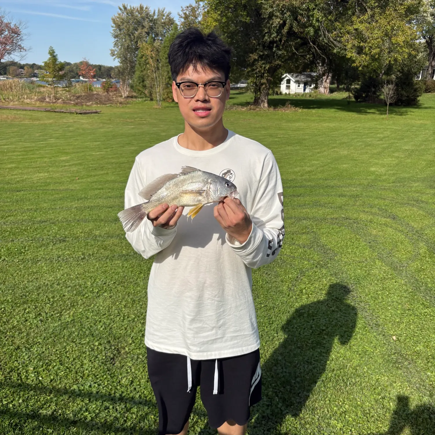 Freshwater drum caught on Fishbrain
