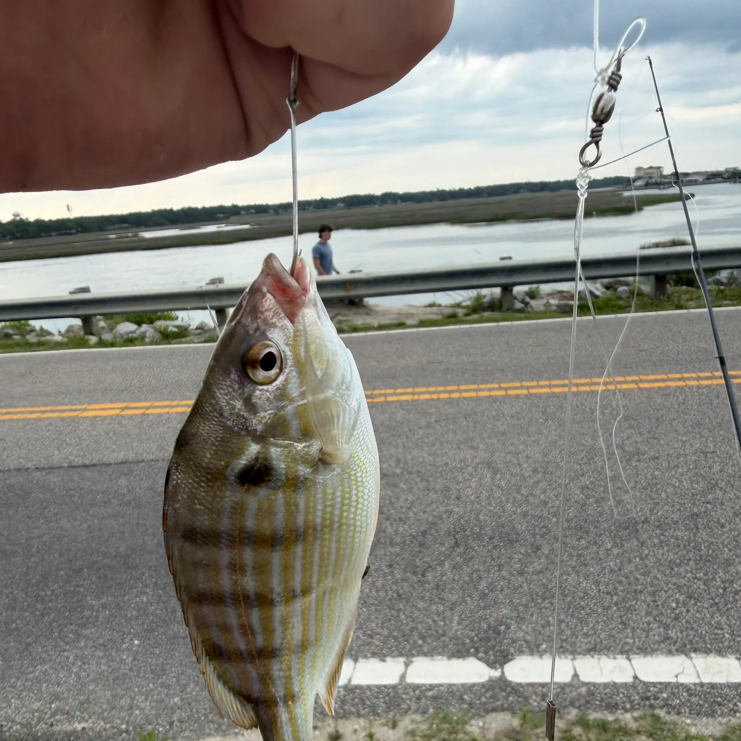 catch