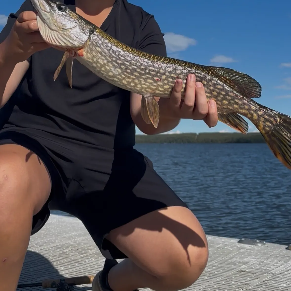 Northern pike caught on Fishbrain