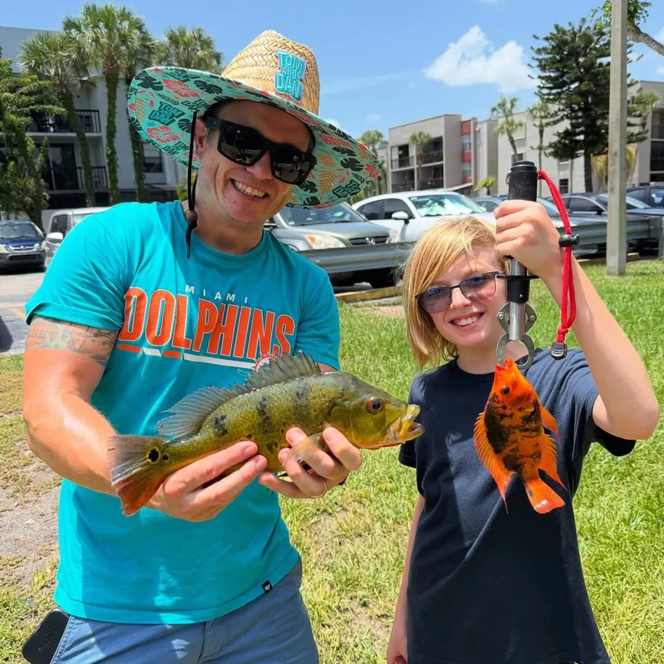 Red devil cichlid caught on Fishbrain