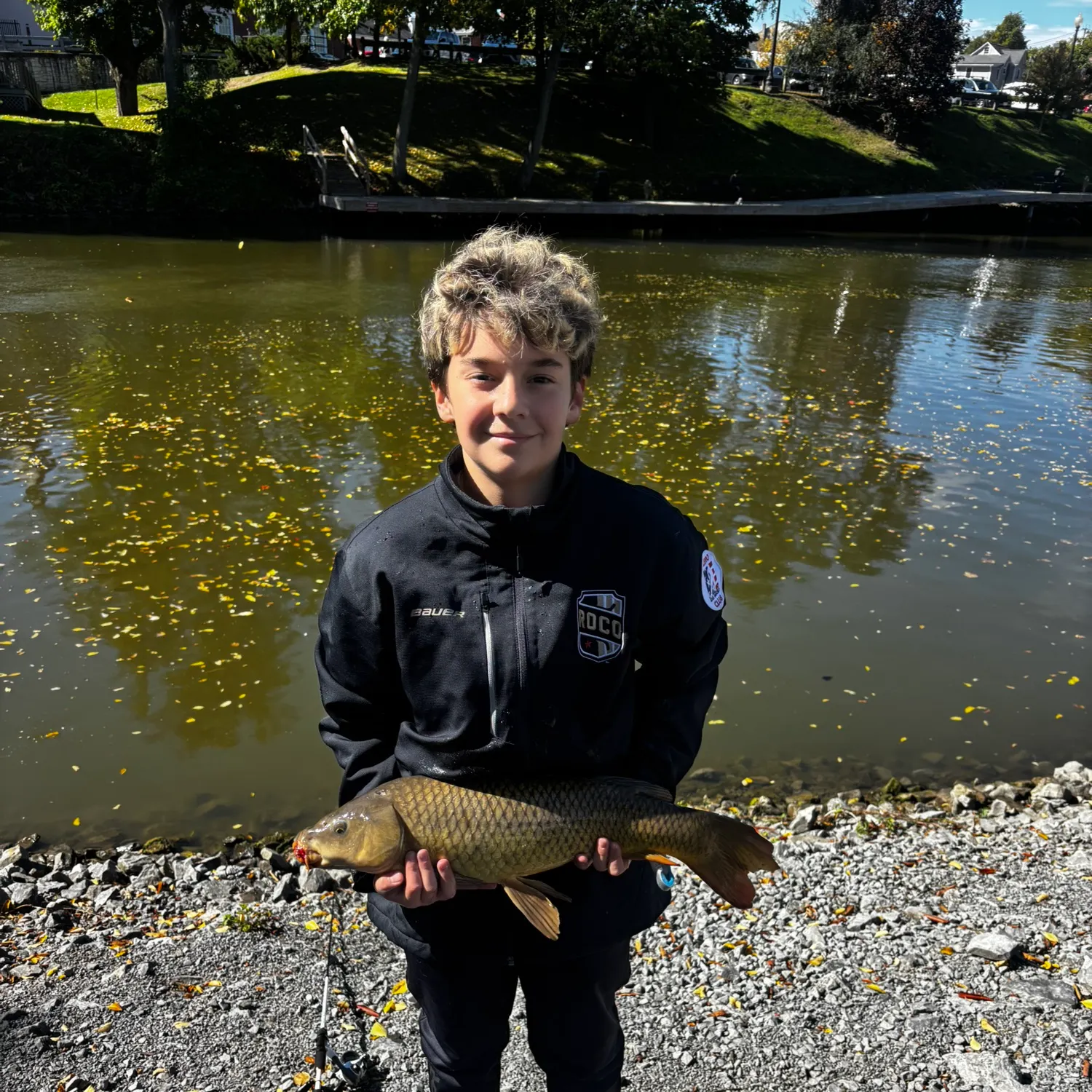 Common carp caught on Fishbrain