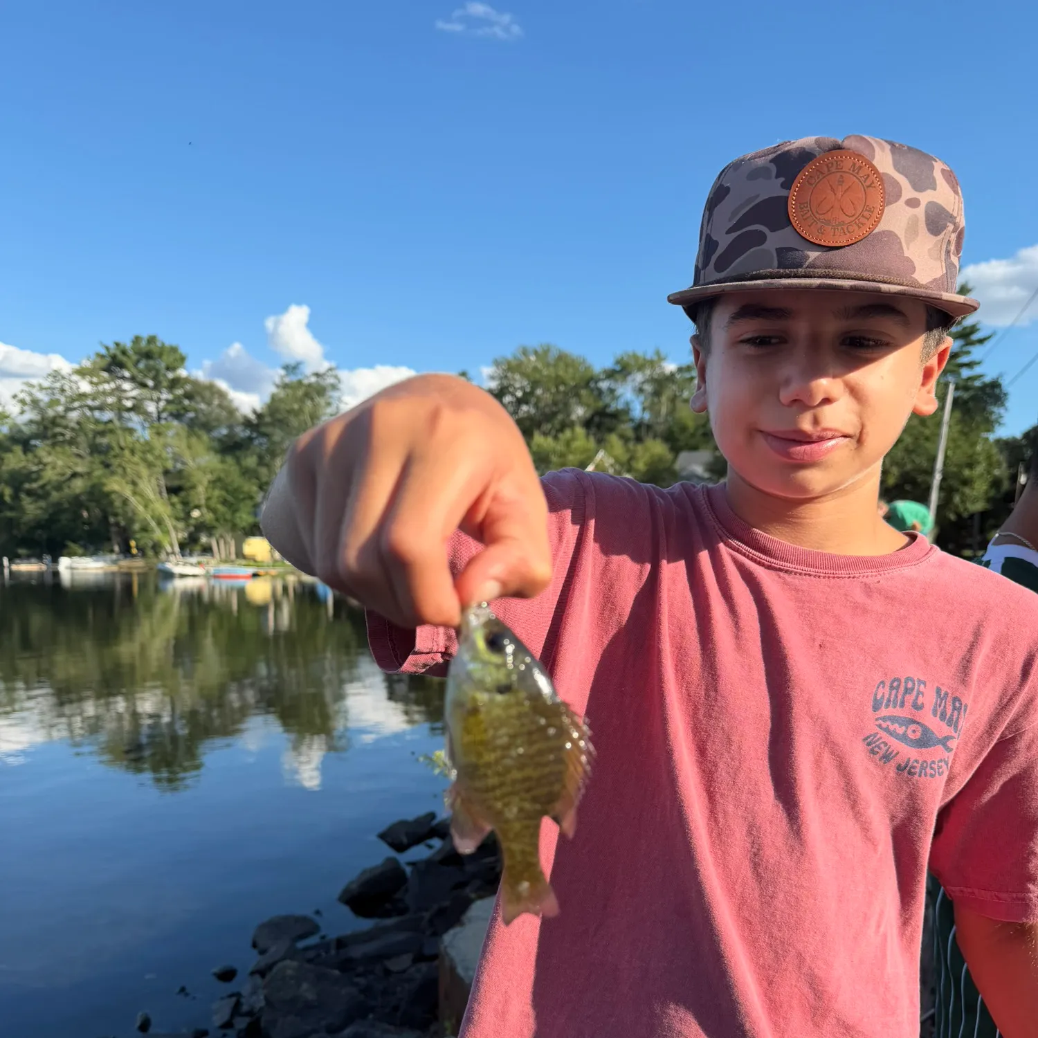 Bluegill caught on Fishbrain