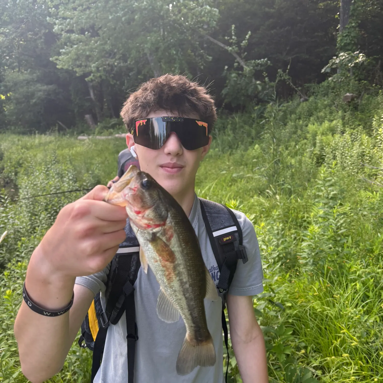Largemouth bass caught on Fishbrain