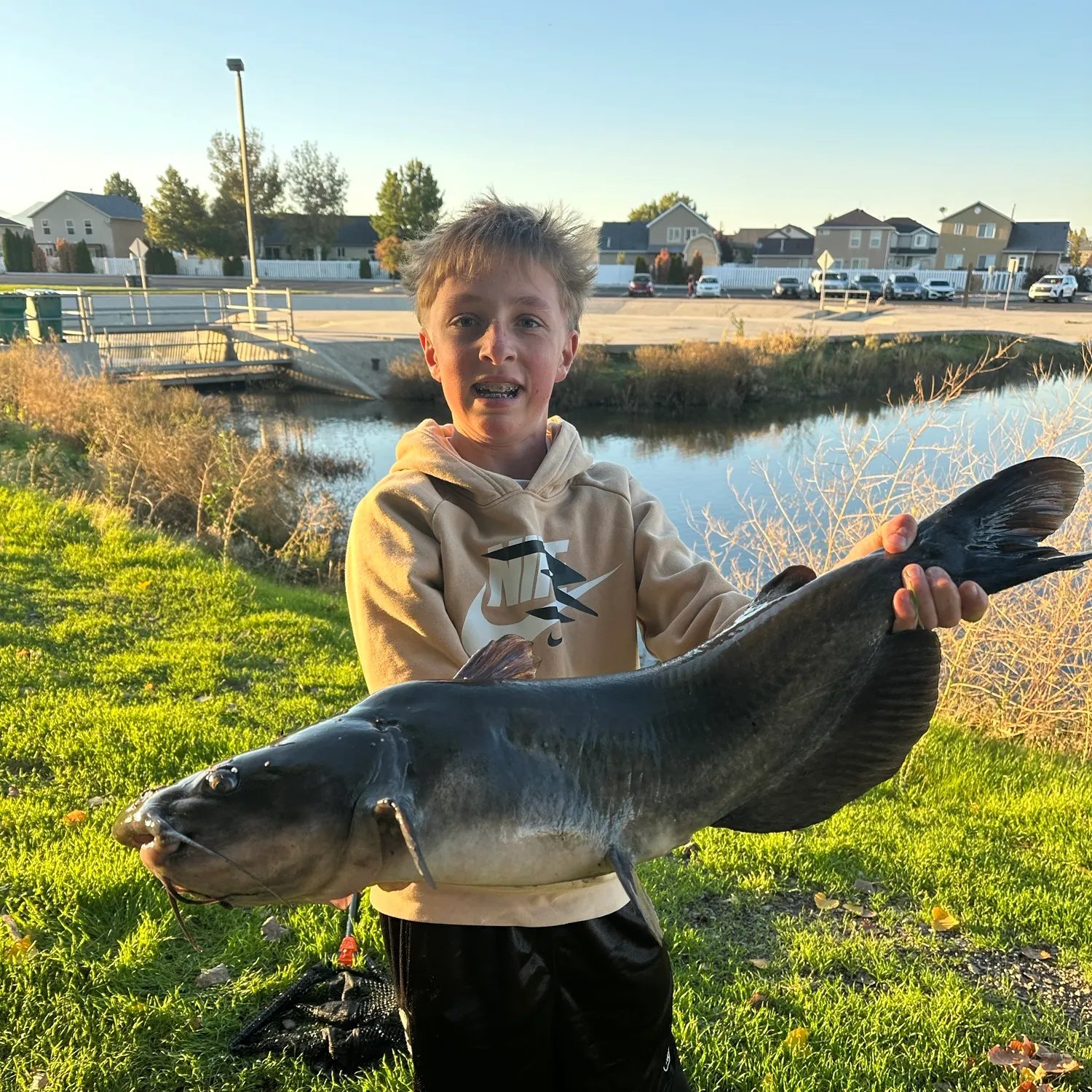 Channel catfish caught on Fishbrain