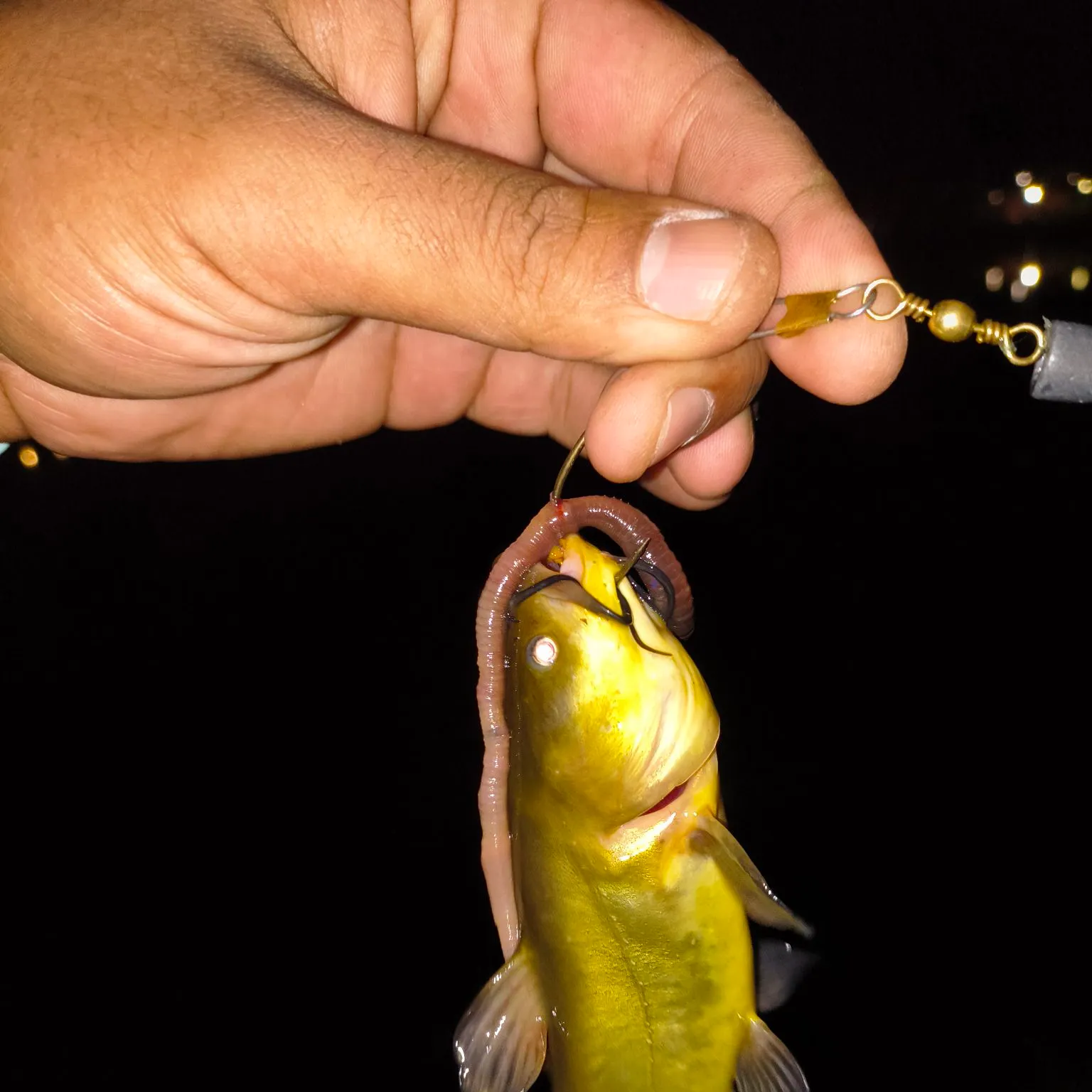 catch