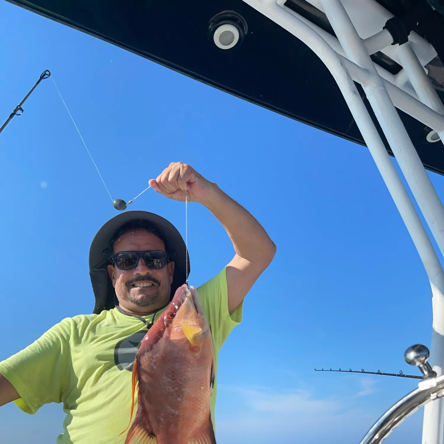 The most recent Hogfish catches on Fishbrain