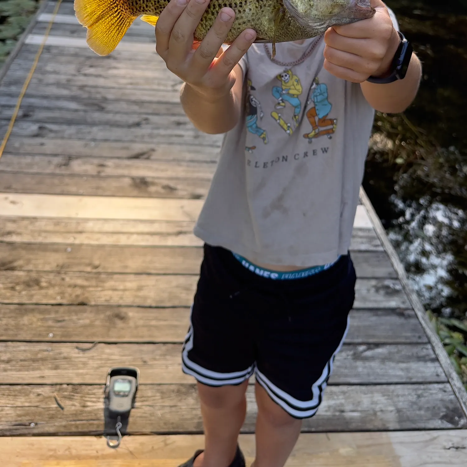 recently logged catches