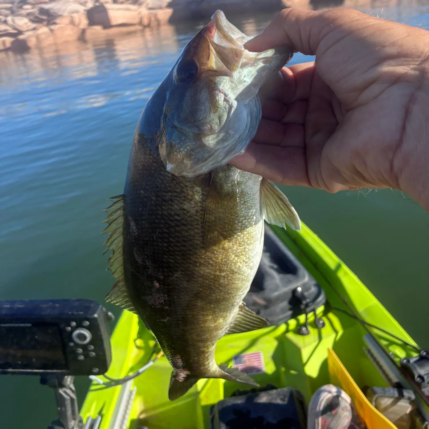 Smallmouth bass caught on Fishbrain