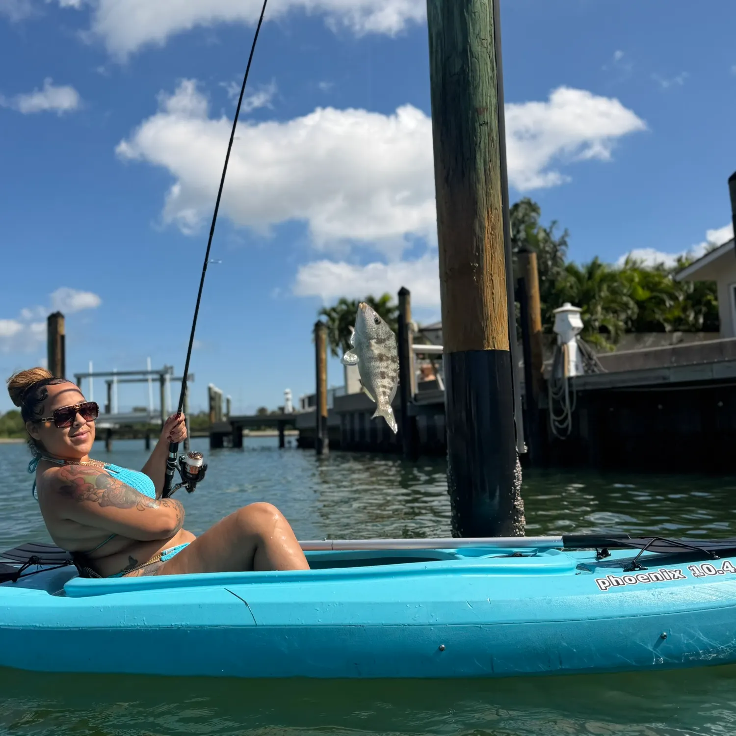 The most recent Sheepshead porgy catches on Fishbrain