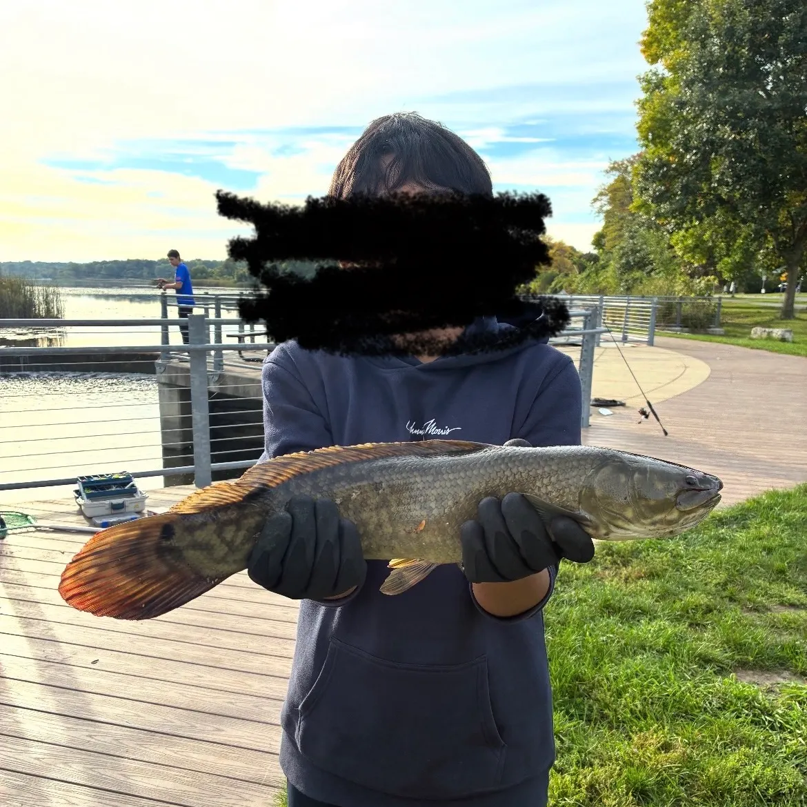 Eyetail bowfin caught on Fishbrain