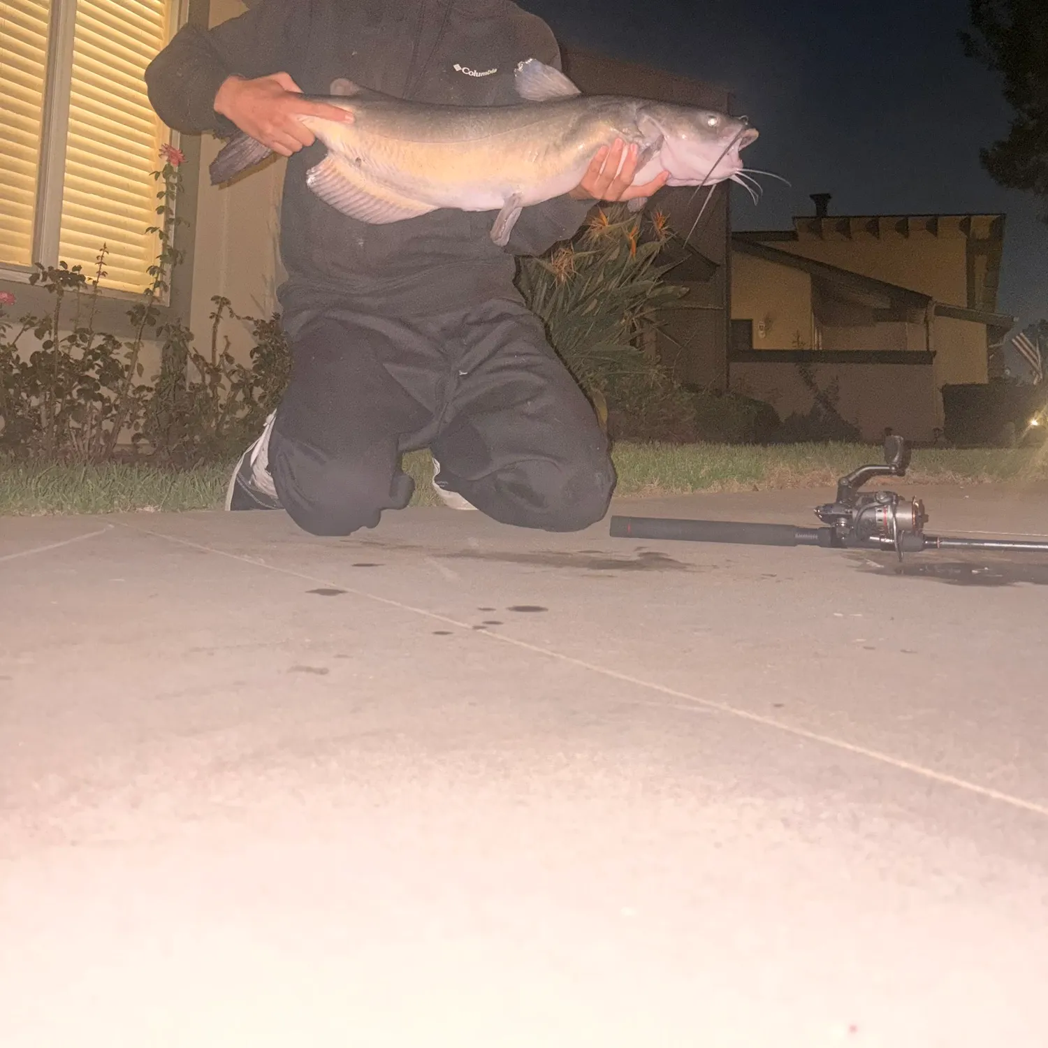 Fish caught on Fishbrain