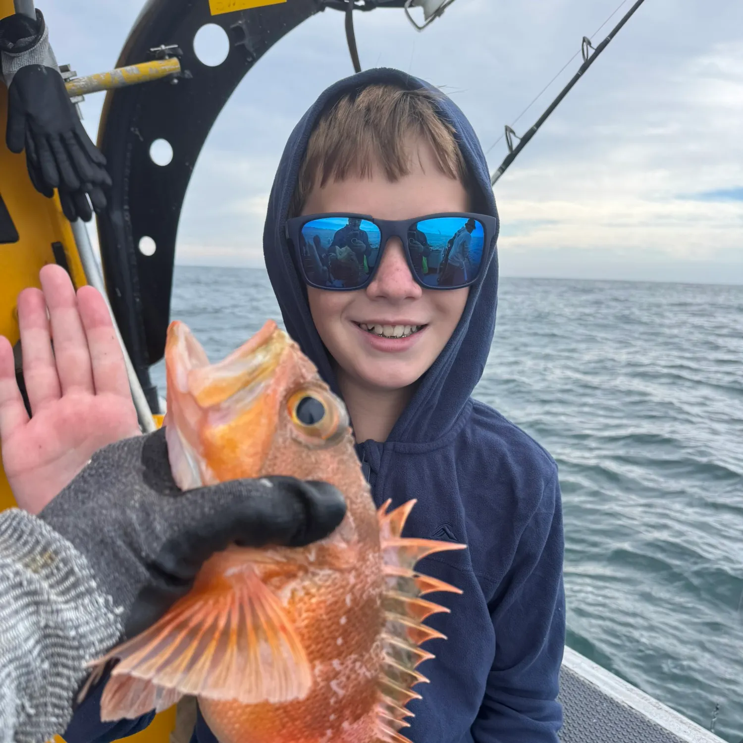 The most recent Atlantic ocean perch catches on Fishbrain