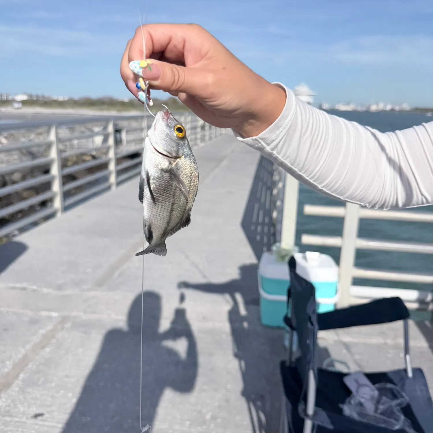 The most recent Black margate catches on Fishbrain