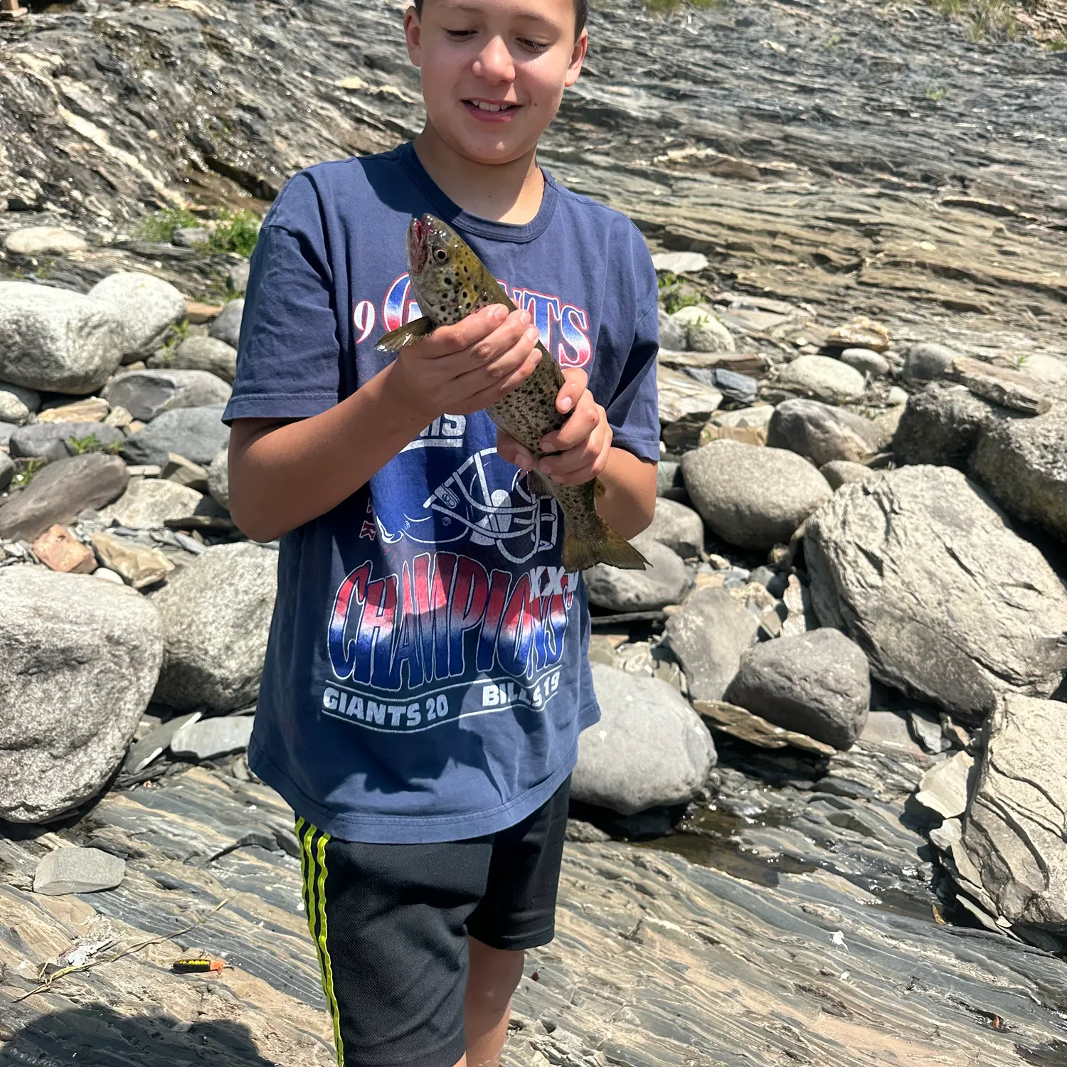 recently logged catches