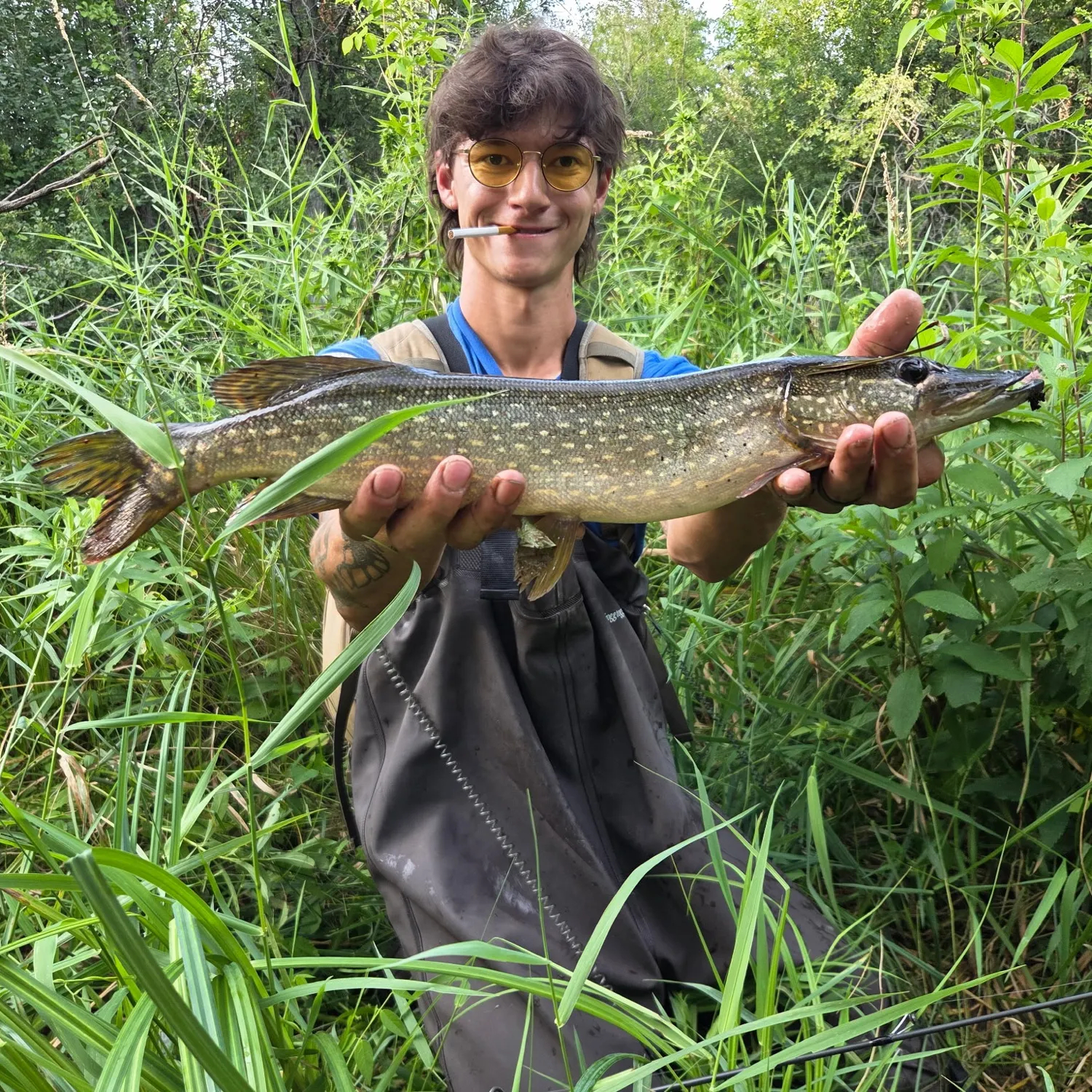 The most recent Northern pike catches on Fishbrain