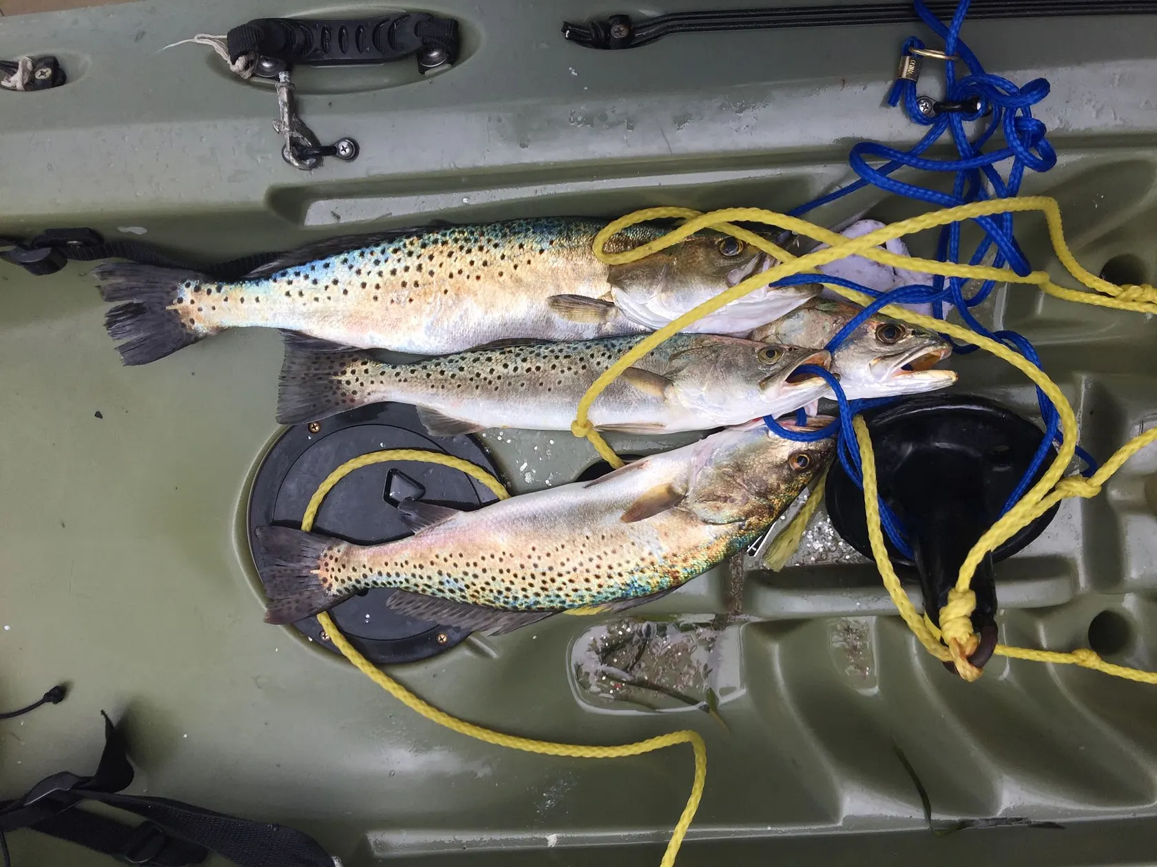 Post image from fcoryell