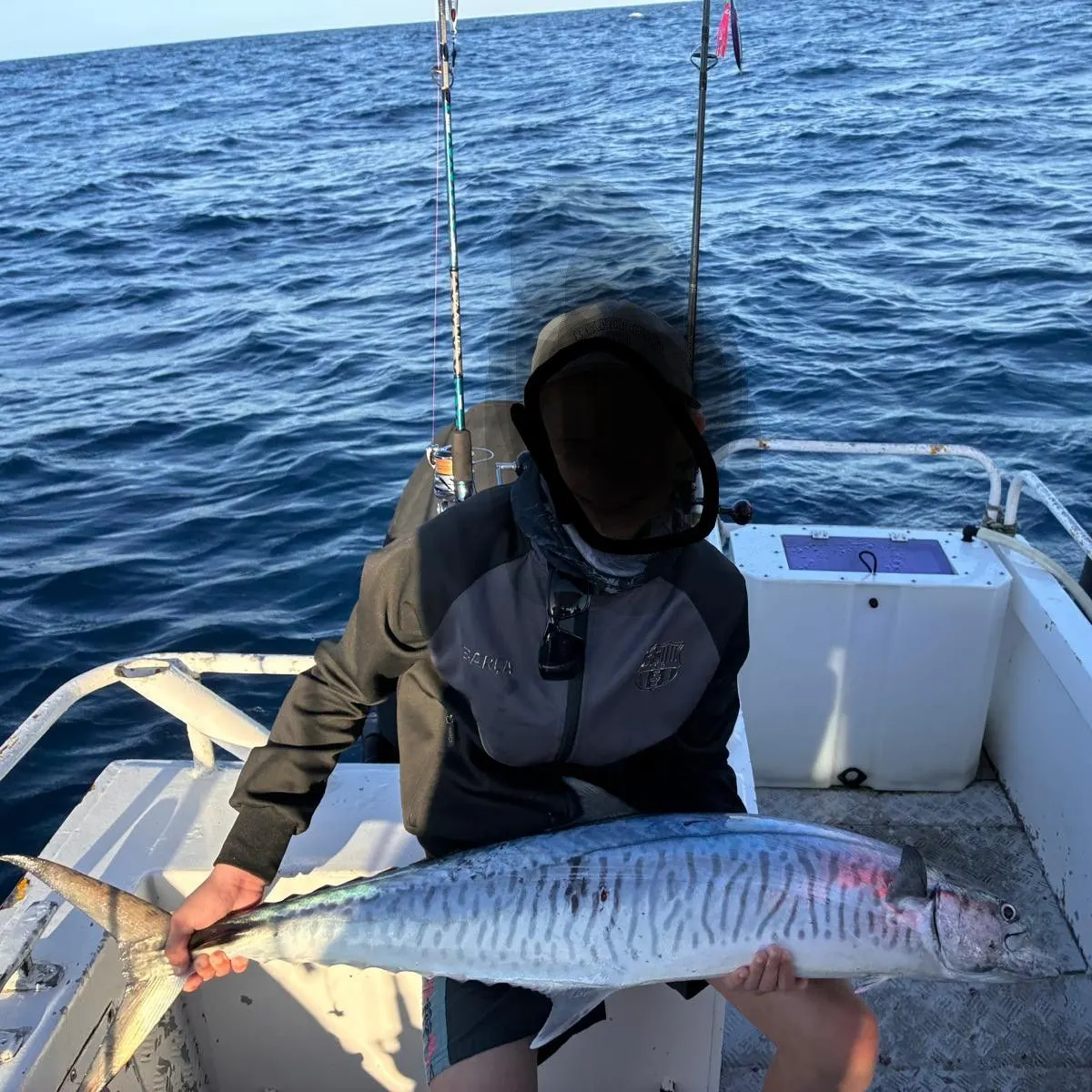 Narrow-barred Spanish mackerel caught on Fishbrain
